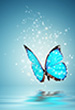 userimages