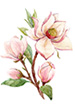 userimages