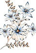 userimages