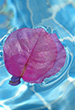 userimages