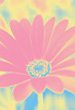 userimages