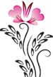 userimages