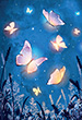 userimages